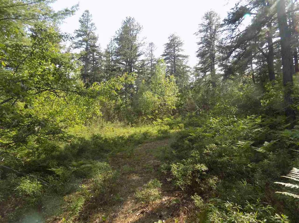 96 Pequawket Trail Freedom NH 03836