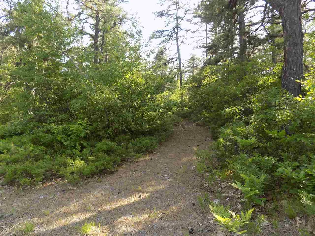 96 Pequawket Trail Freedom NH 03836