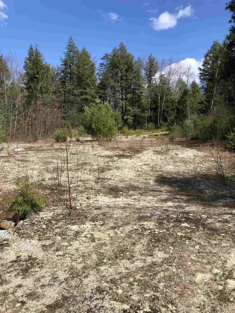 86 South Ridge Road Bradford NH 03221