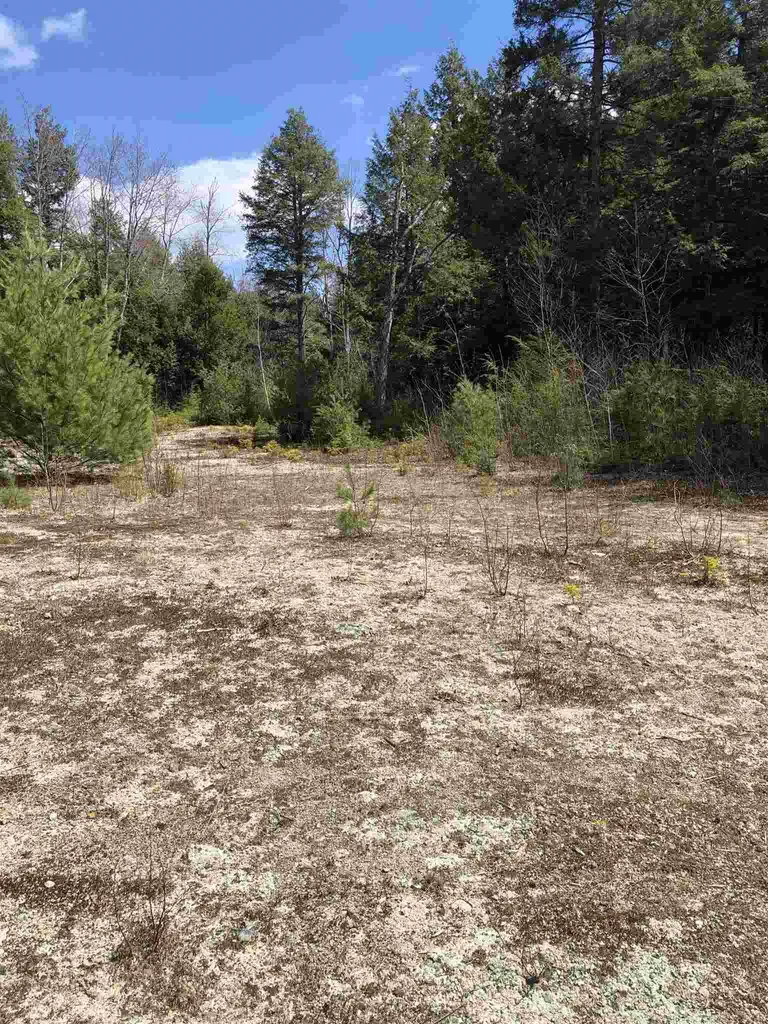 86 South Ridge Road Bradford NH 03221