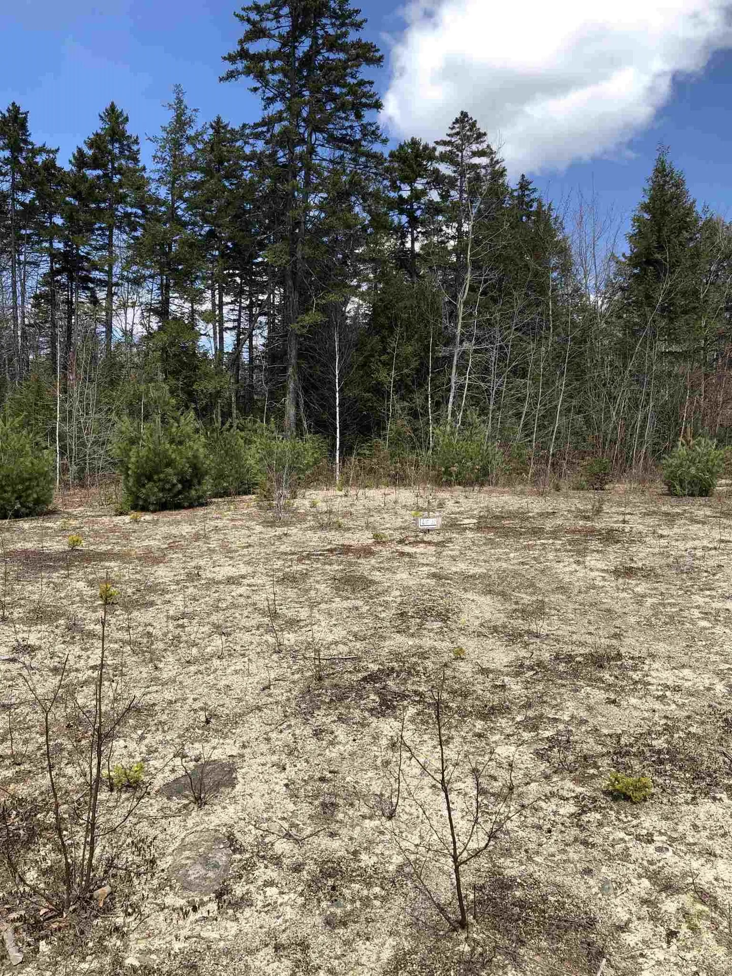 86 South Ridge Road Bradford NH 03221