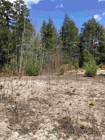 86 South Ridge Road Bradford NH 03221