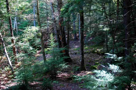 86 South Ridge Road Bradford NH 03221