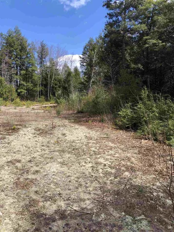 86 South Ridge Road Bradford NH 03221