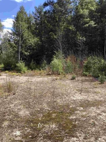 86 South Ridge Road Bradford NH 03221