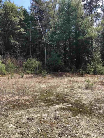 86 South Ridge Road Bradford NH 03221