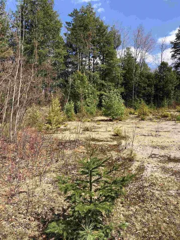 86 South Ridge Road Bradford NH 03221