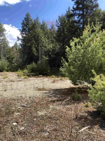 86 South Ridge Road Bradford NH 03221