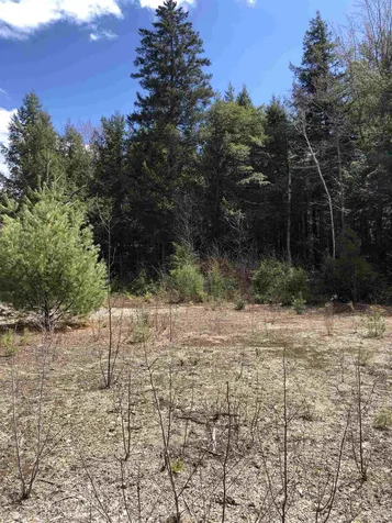 86 South Ridge Road Bradford NH 03221