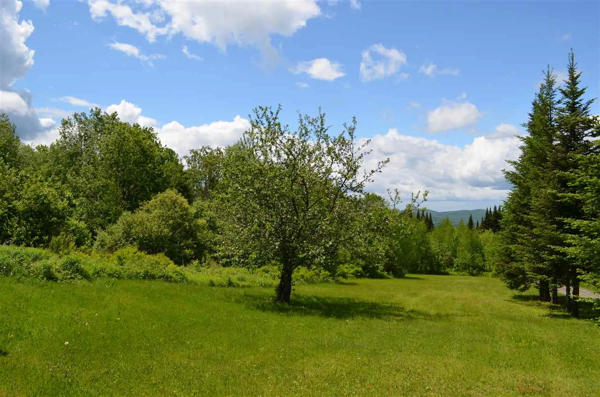 135 Griffin Road Stewartstown NH 03576
