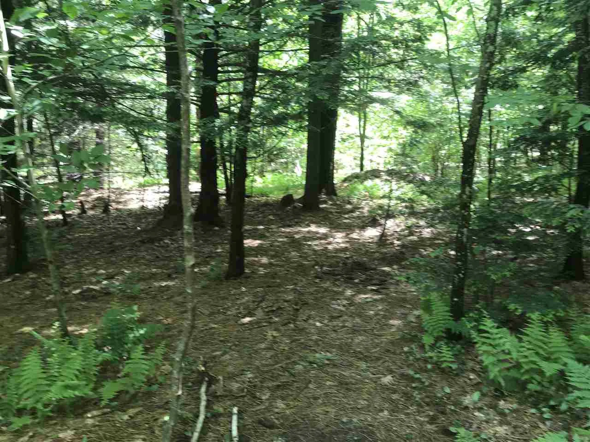 99 Eagle Drive Rochester NH 03868