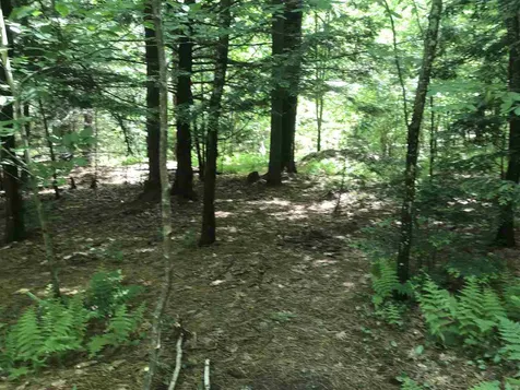99 Eagle Drive Rochester NH 03868