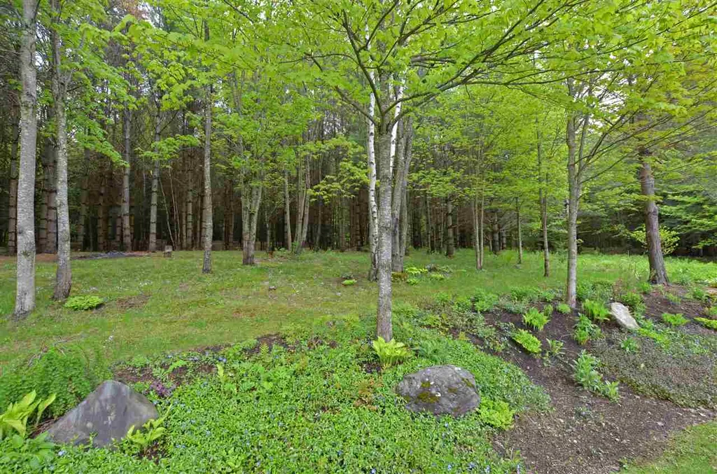 204 Center Road Hyde Park VT 05655