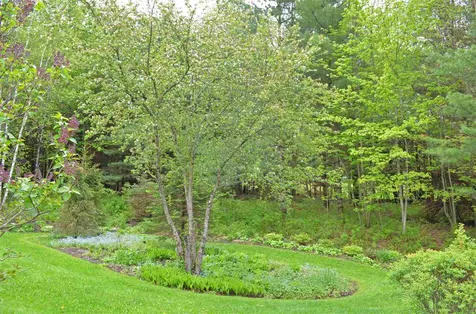 204 Center Road Hyde Park VT 05655