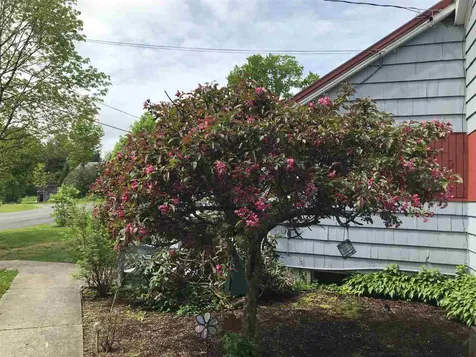 151 Ray Hill Road Wilmington VT 05363