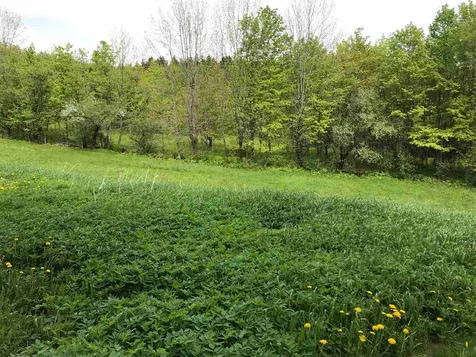151 Ray Hill Road Wilmington VT 05363