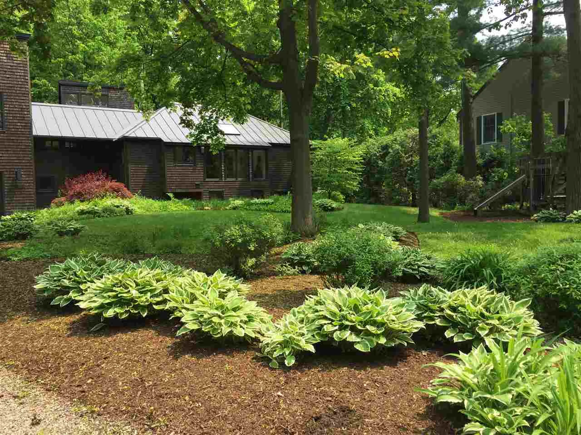 56 Crescent Terrace Burlington VT 05401