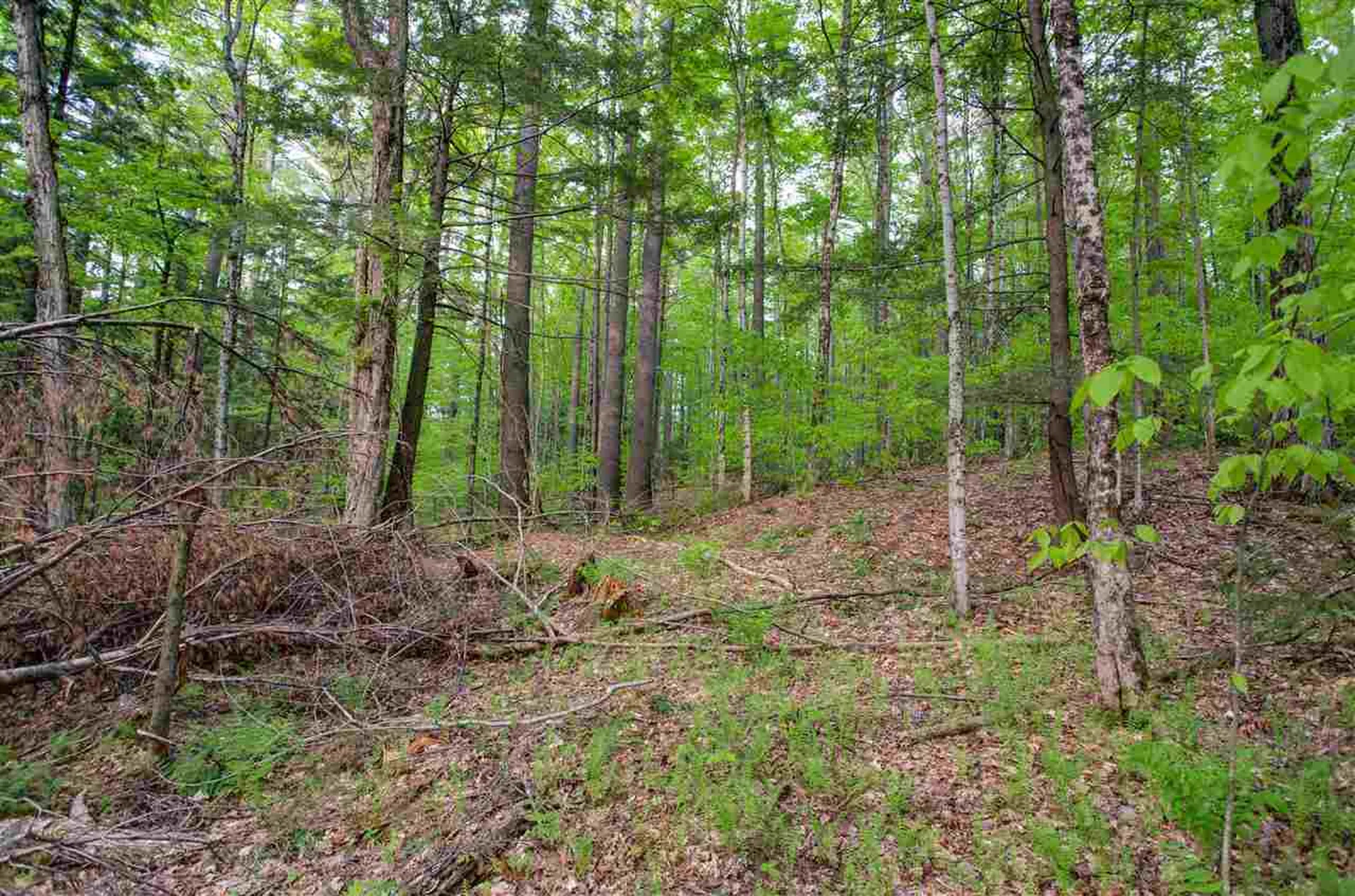 0 Route 106 Road Woodstock VT 05091