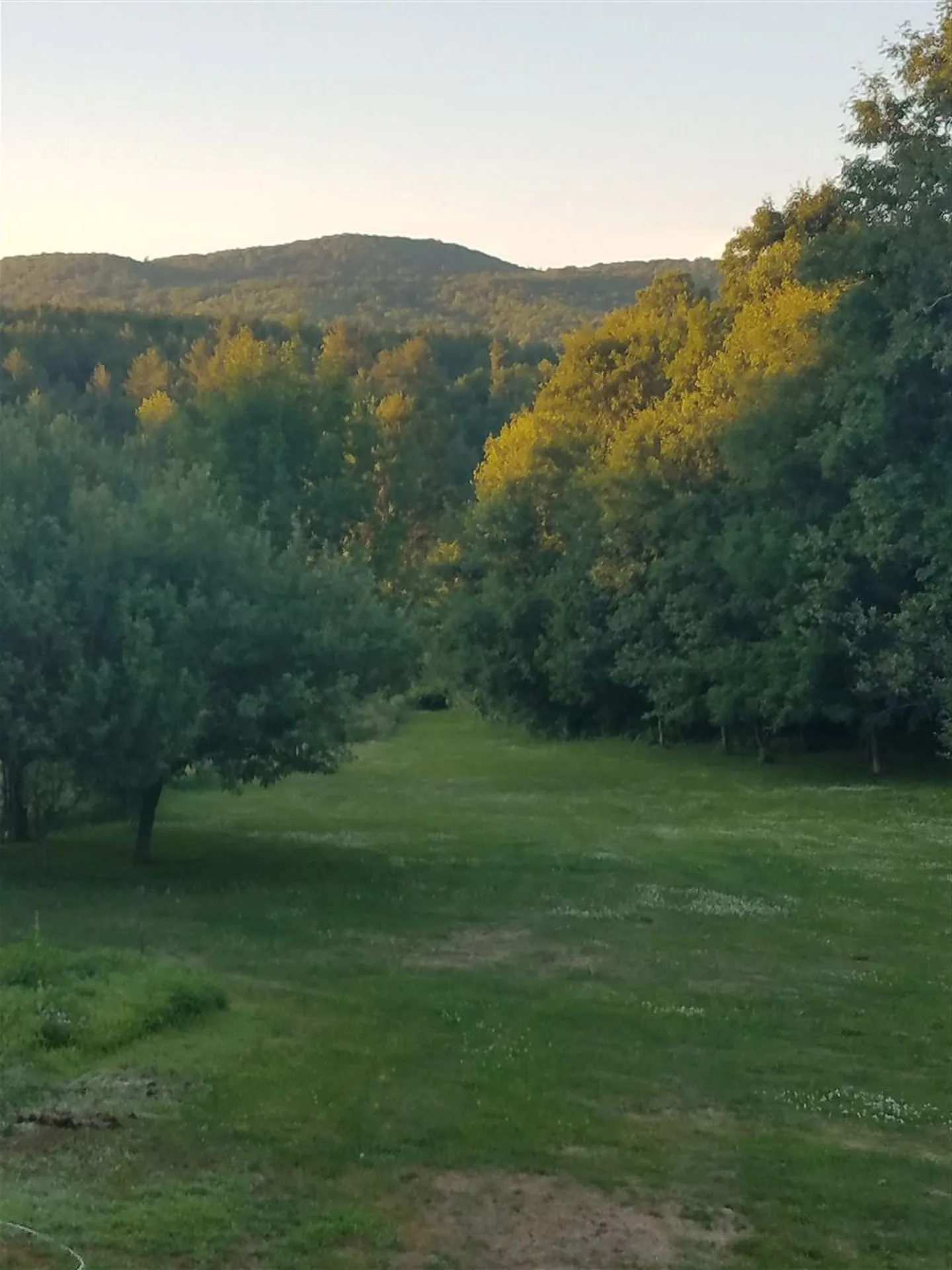 253 Brigham Hill Road Essex VT 05452