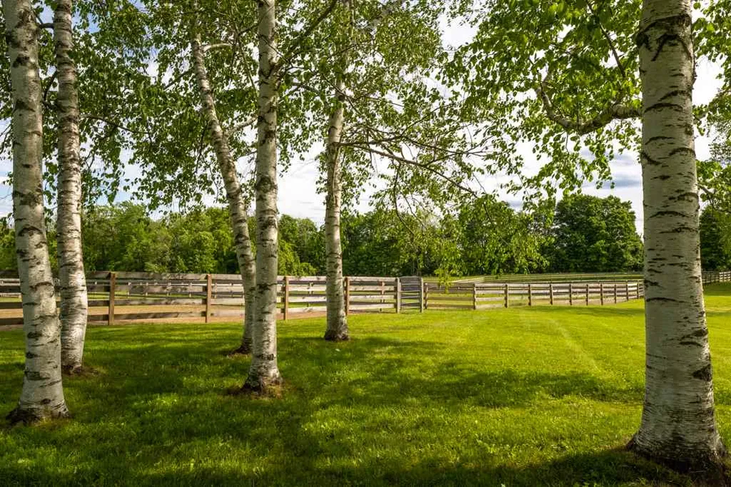183 Derry Road Chester NH 03036