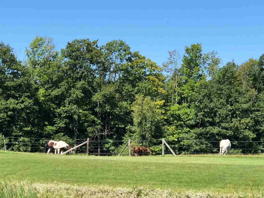 630 Frank C Gilman Highway Alton NH 03809