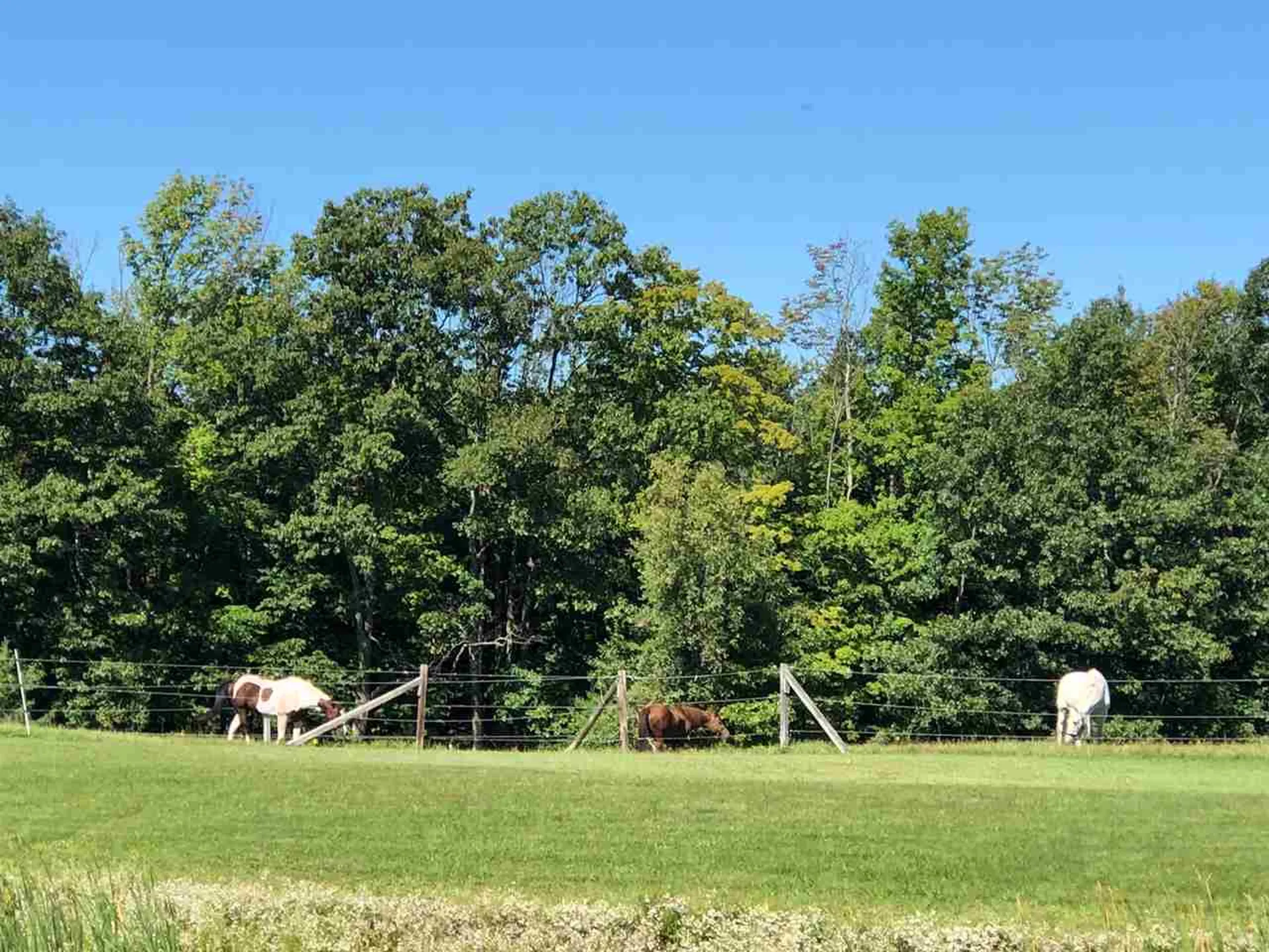 630 Frank C Gilman Highway Alton NH 03809