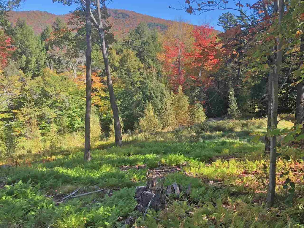 51 Norwegian Lane Road Warren VT 05674