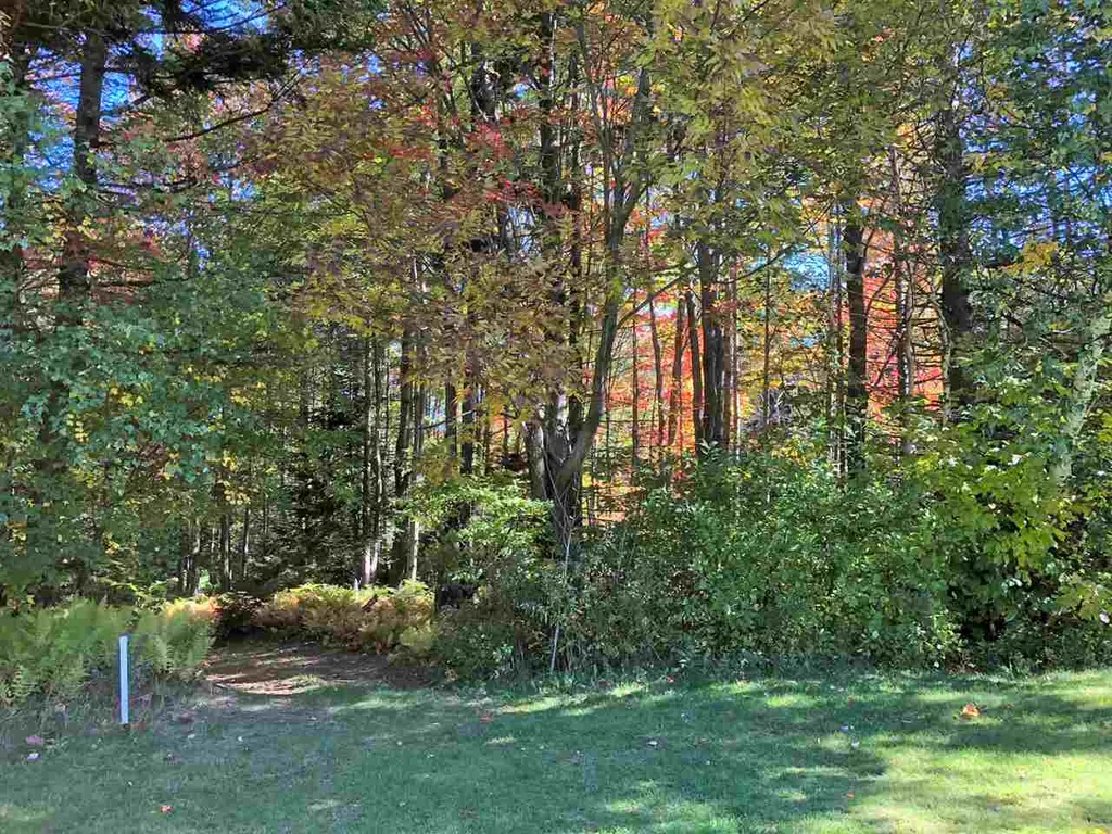 51 Norwegian Lane Road Warren VT 05674