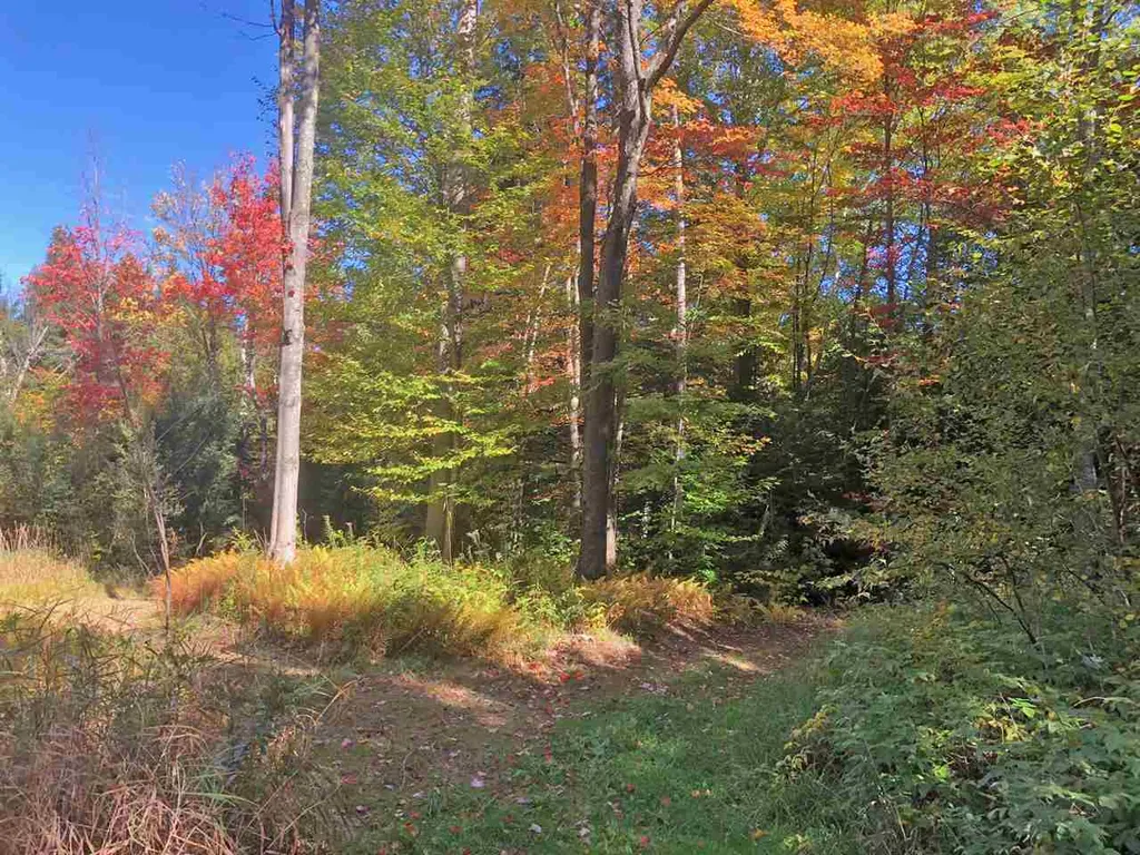 51 Norwegian Lane Road Warren VT 05674
