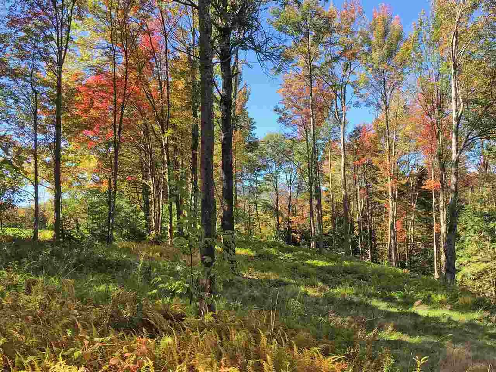 51 Norwegian Lane Road Warren VT 05674