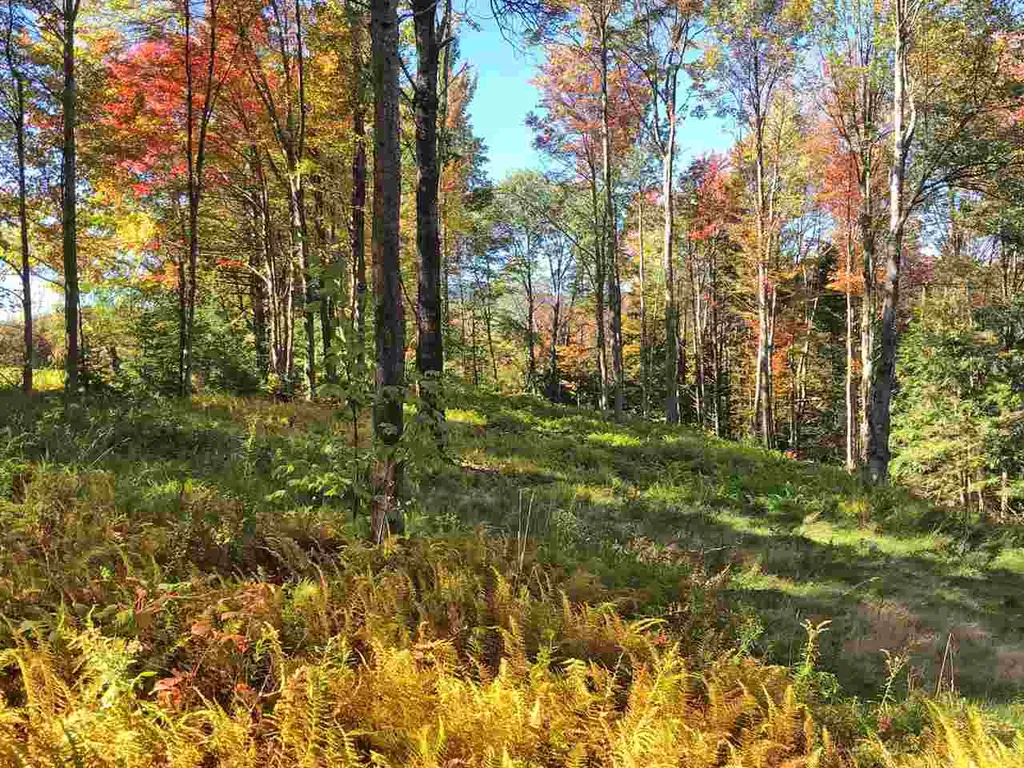51 Norwegian Lane Road Warren VT 05674