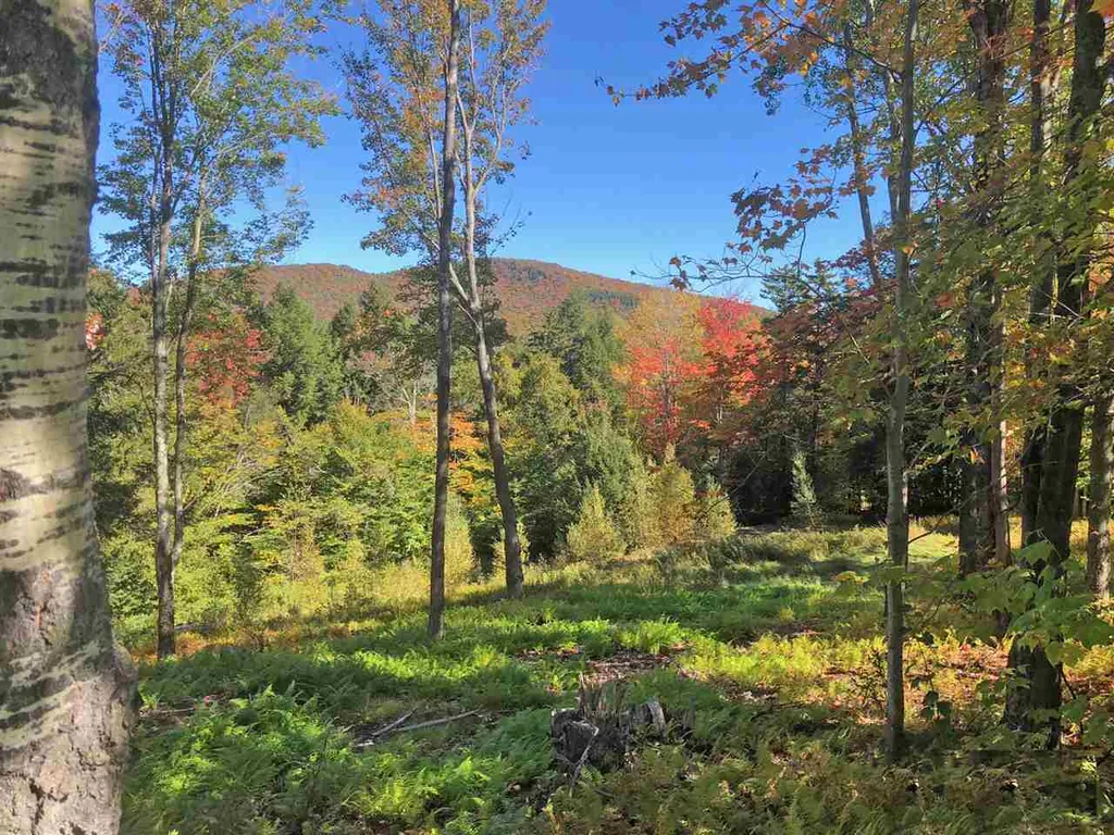 51 Norwegian Lane Road Warren VT 05674