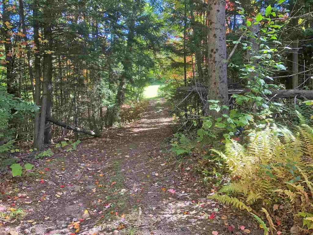 51 Norwegian Lane Road Warren VT 05674
