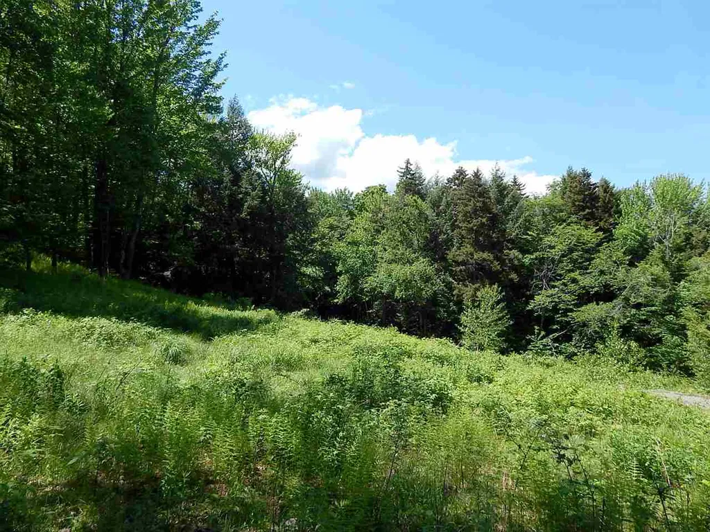 51 Norwegian Lane Road Warren VT 05674