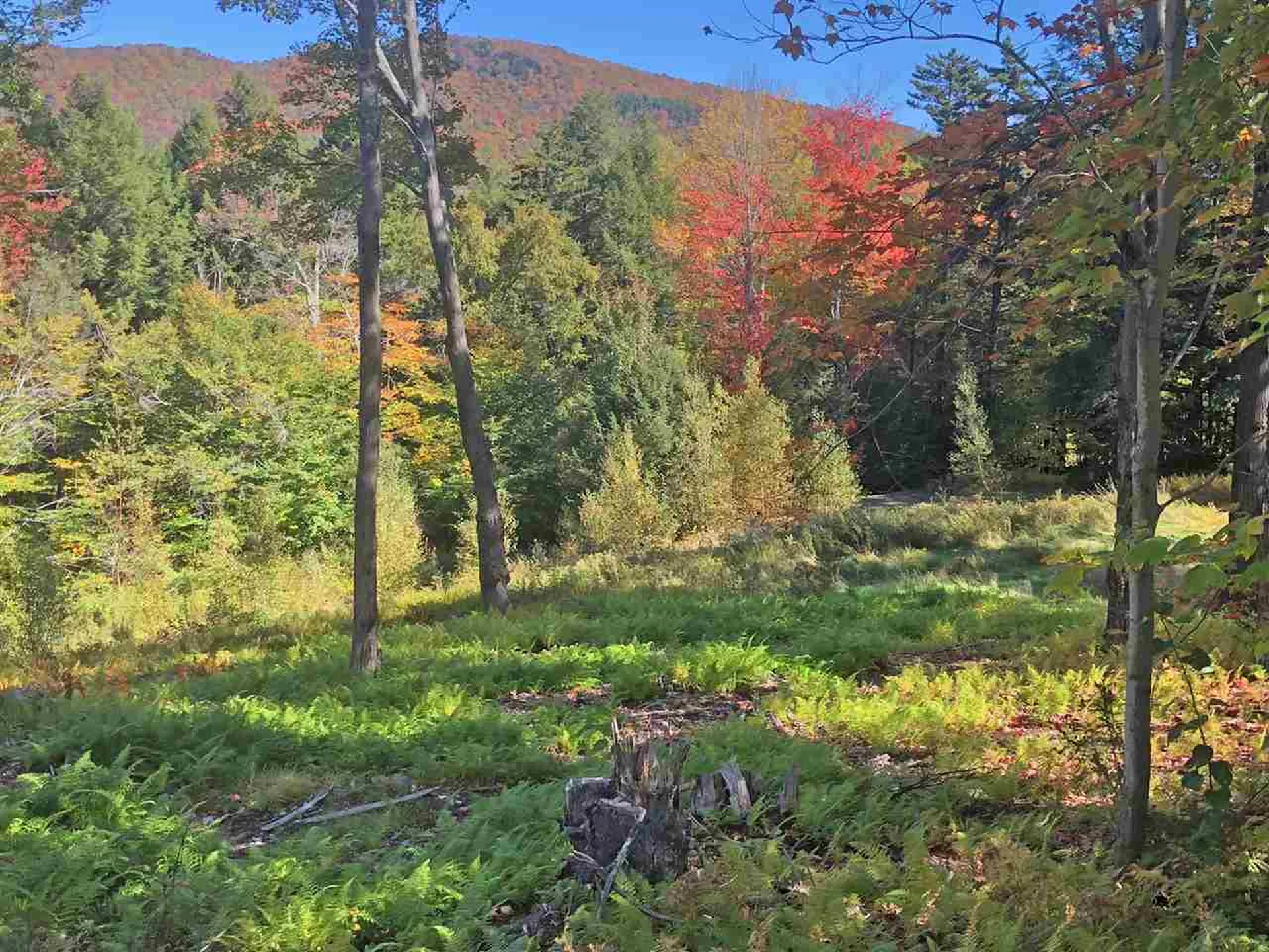 51 Norwegian Lane Road Warren VT 05674