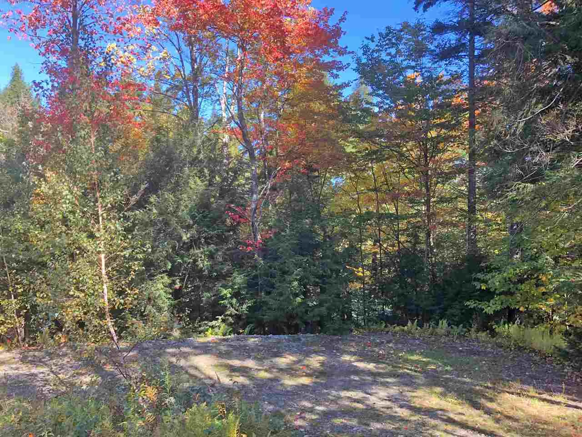 51 Norwegian Lane Road Warren VT 05674