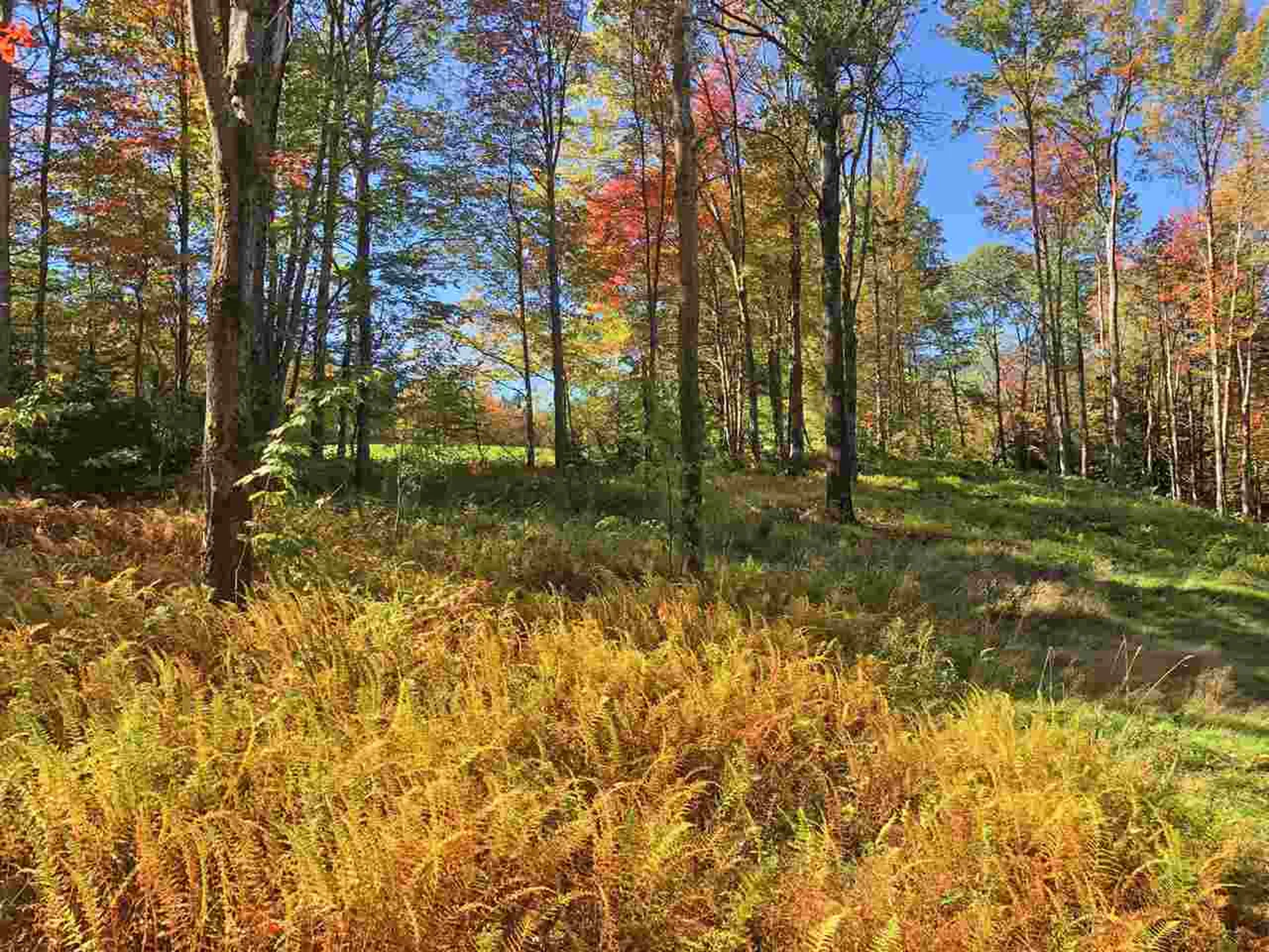 51 Norwegian Lane Road Warren VT 05674