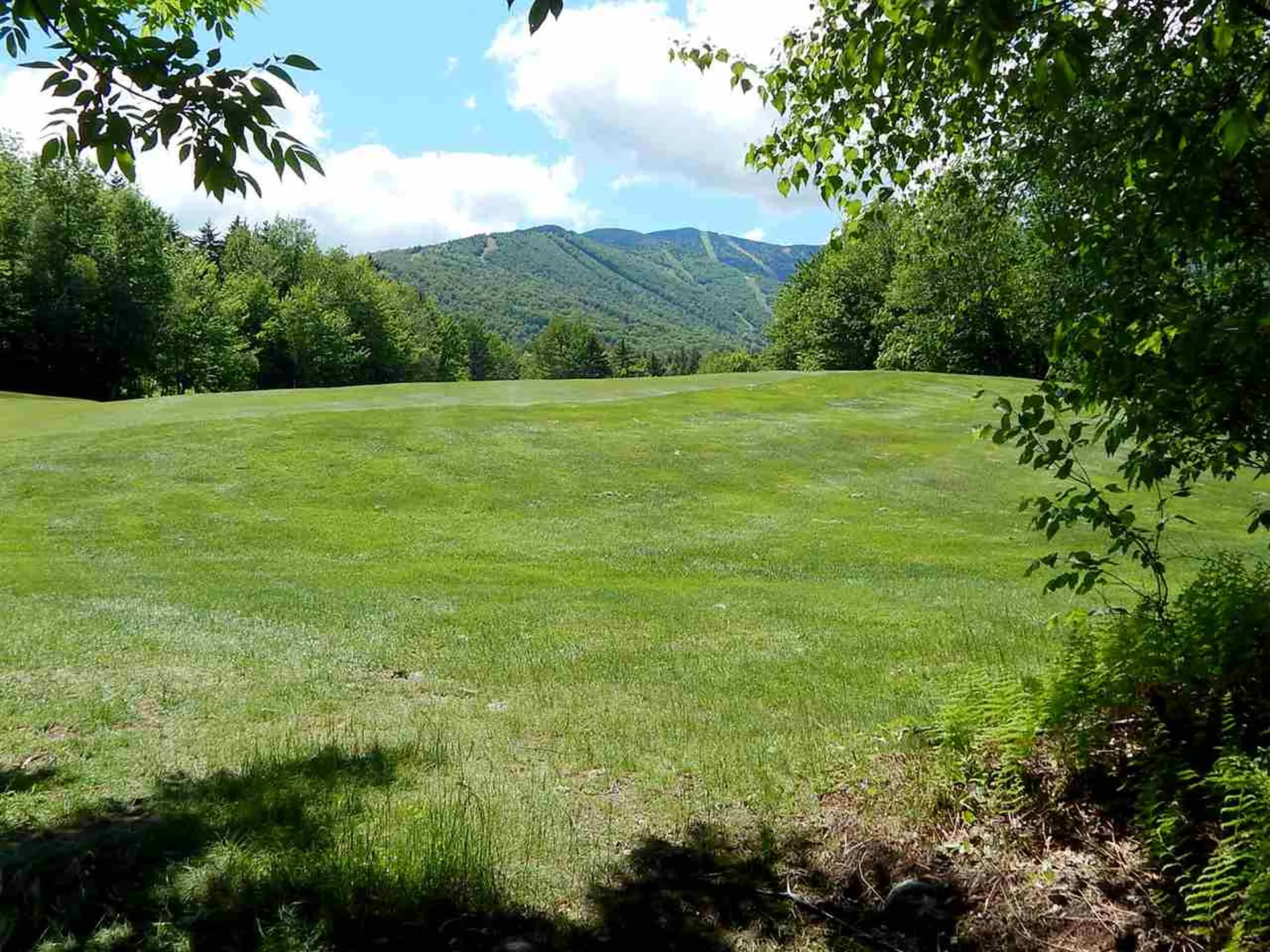 51 Norwegian Lane Road Warren VT 05674