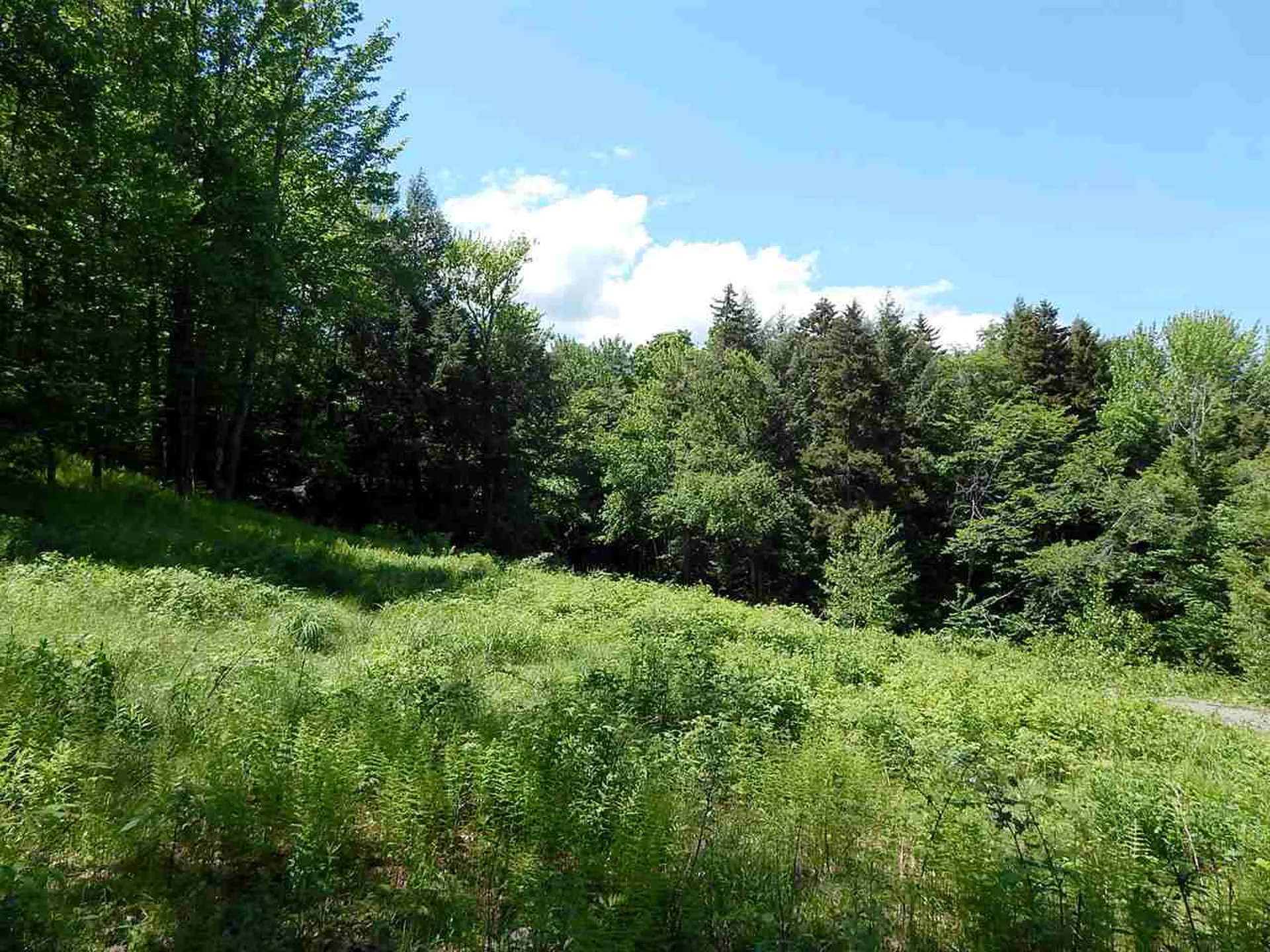 51 Norwegian Lane Road Warren VT 05674