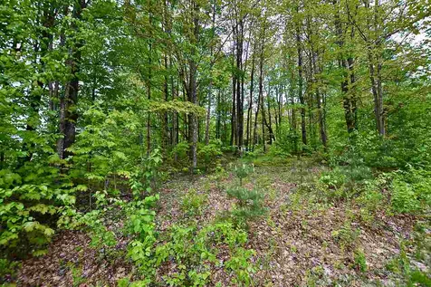 9 Hastings Road Waitsfield VT 05673