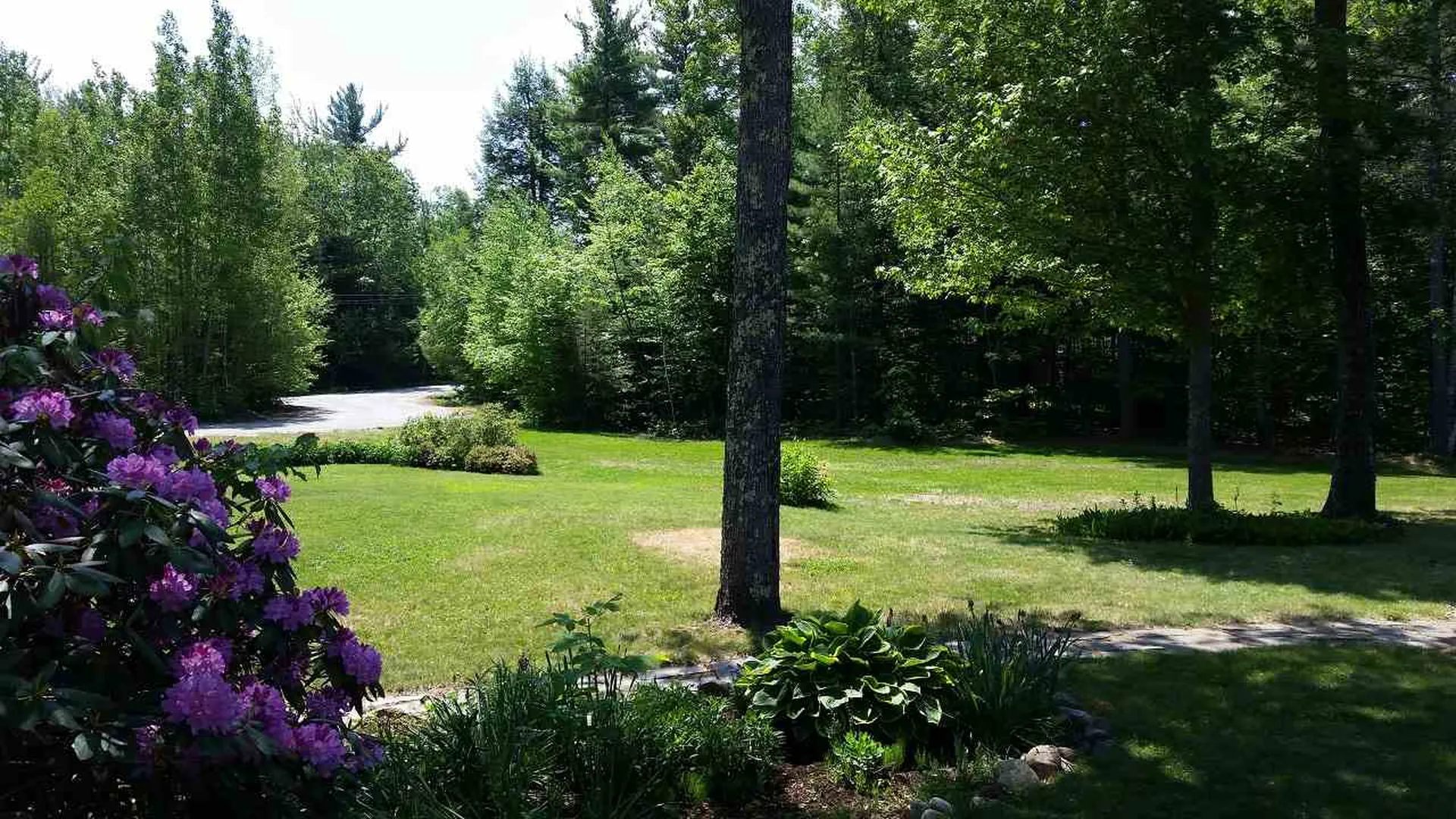 36 Forbush Road Dublin NH 03444