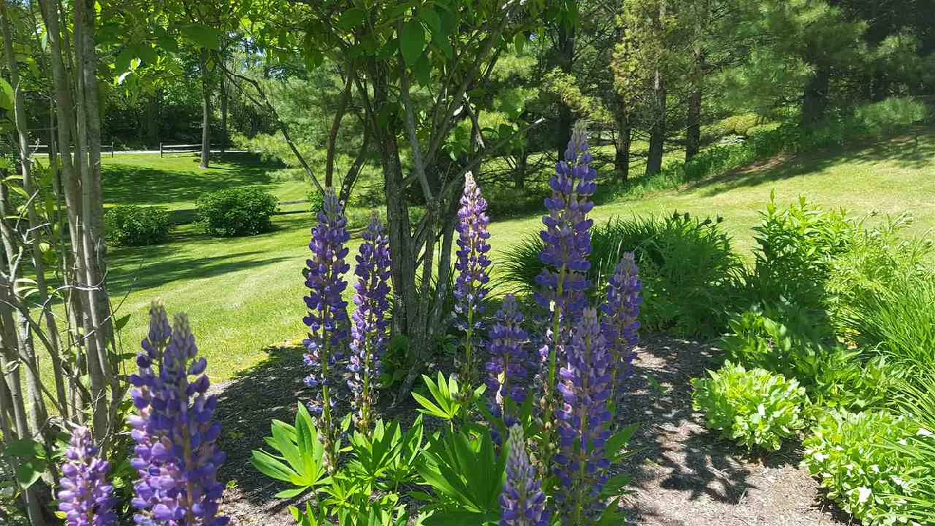 27 Lane Road Dorset VT 05251