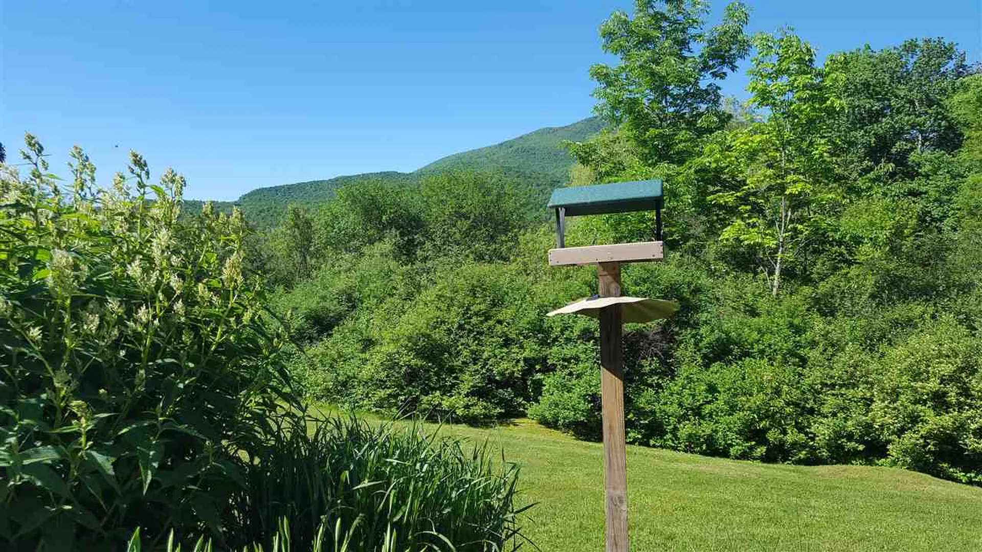 27 Lane Road Dorset VT 05251