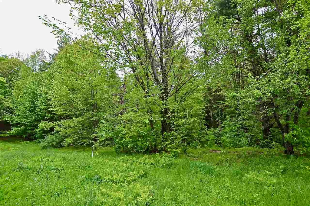 4 Hastings Road Waitsfield VT 05673
