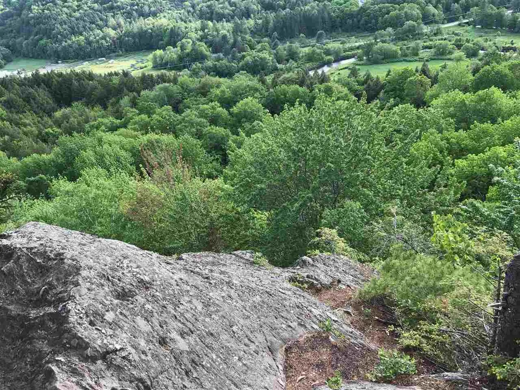 4 Hastings Road Waitsfield VT 05673