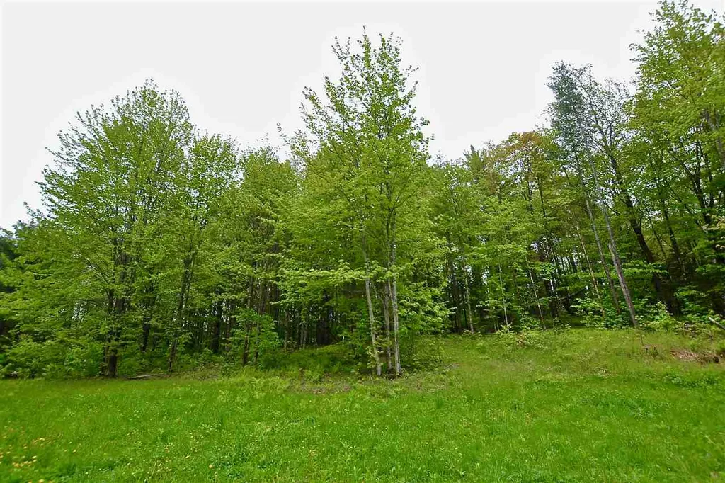 4 Hastings Road Waitsfield VT 05673