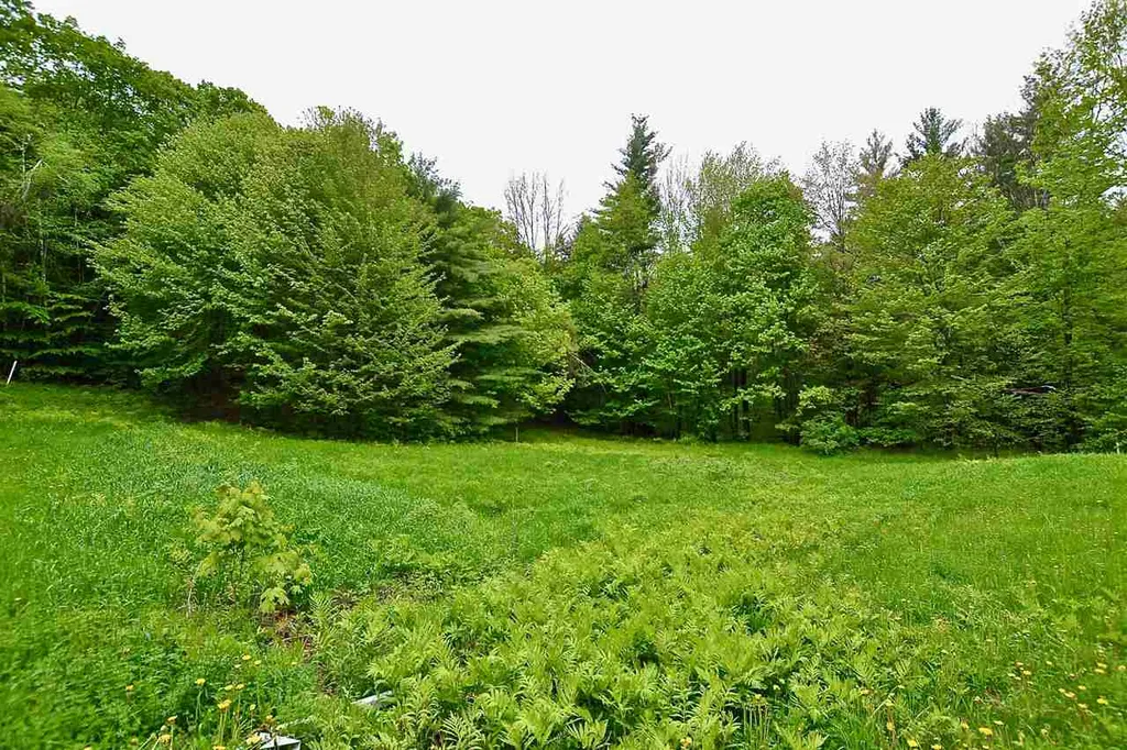 4 Hastings Road Waitsfield VT 05673