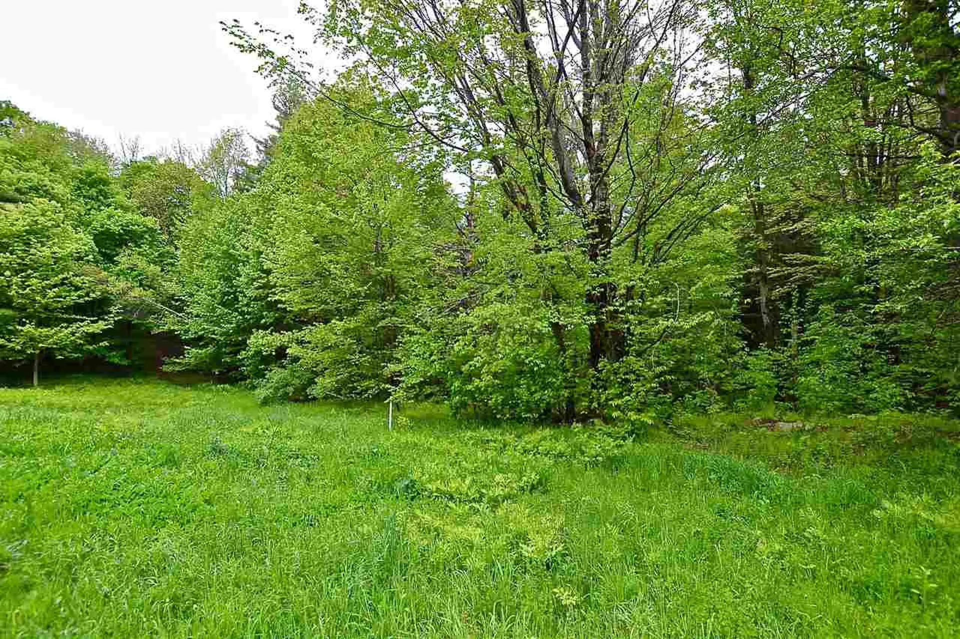 4 Hastings Road Waitsfield VT 05673