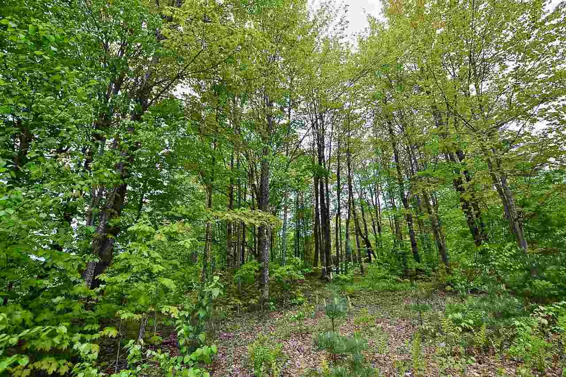4 Hastings Road Waitsfield VT 05673