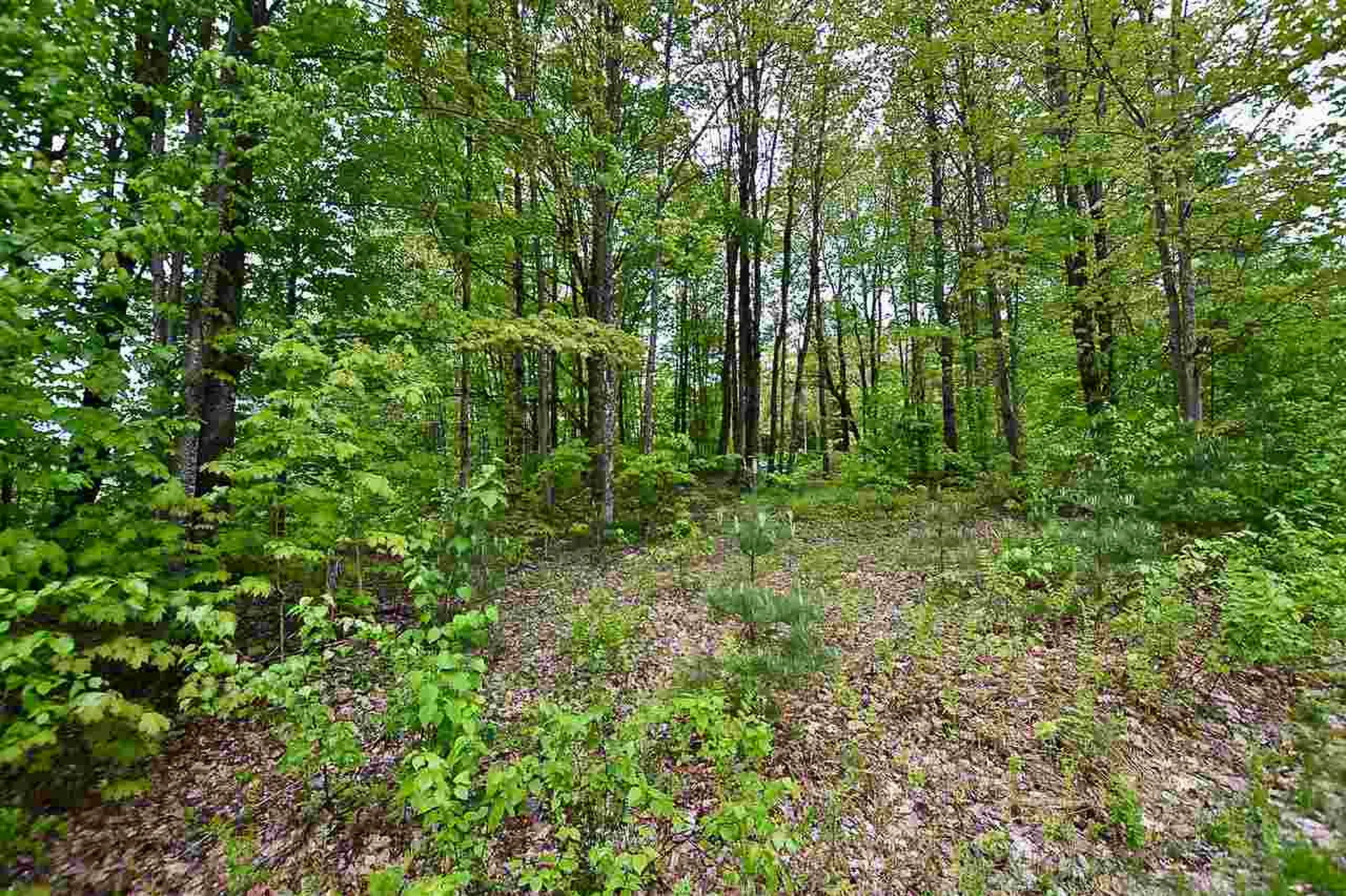 4 Hastings Road Waitsfield VT 05673